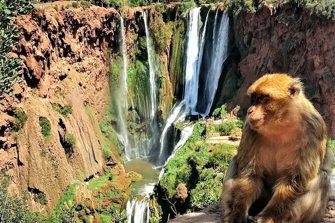 Ouzoud Waterfalls olive groves and scenery day trip