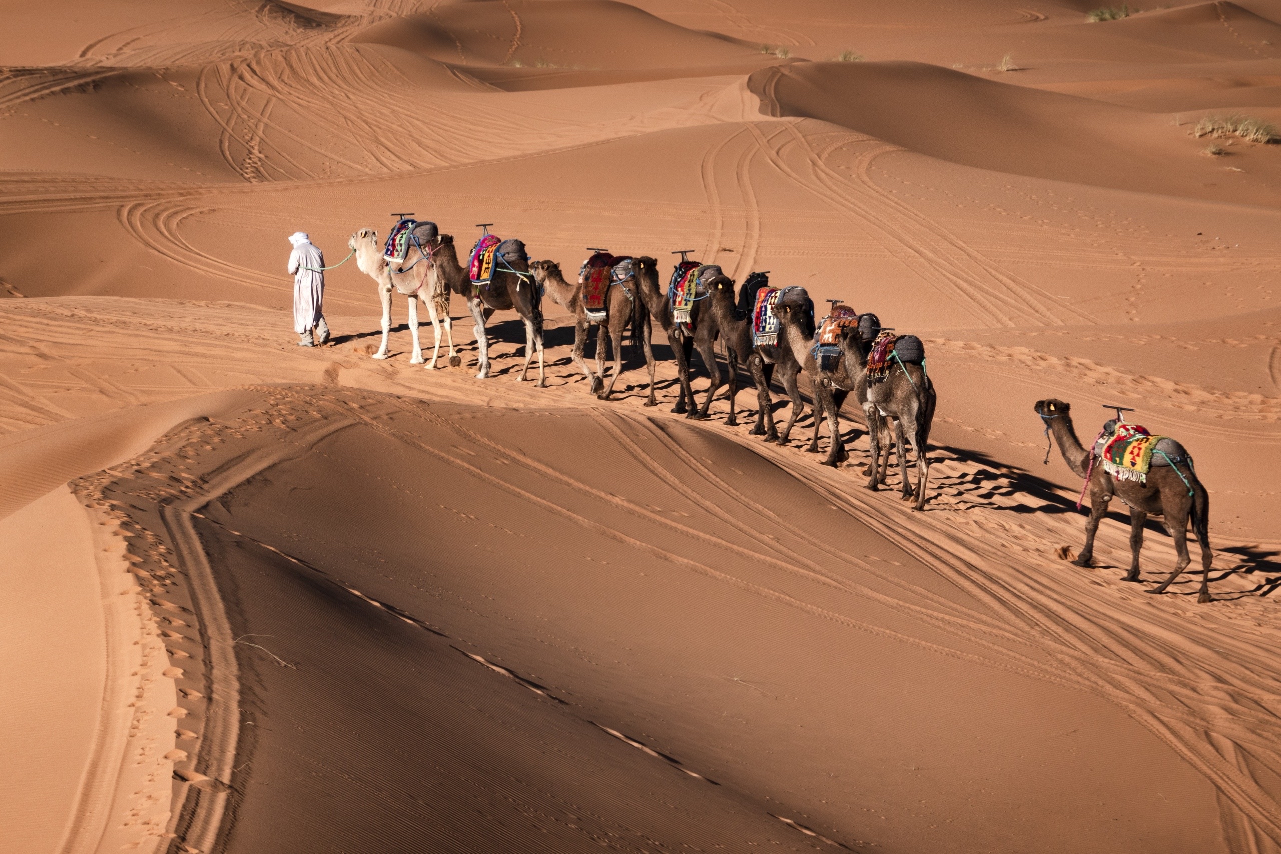 3 Days Marrakech to Merzouga Desert Tour
